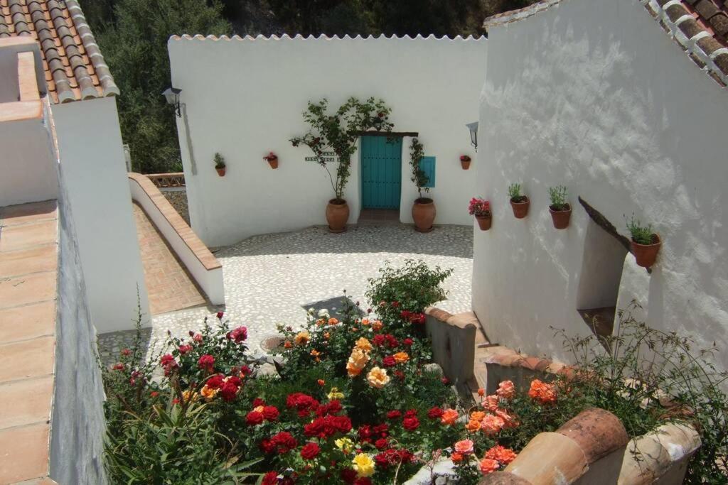 Casa Rosa, Con Encanto Y Piscina Climatizada Frigiliana Exteriér fotografie